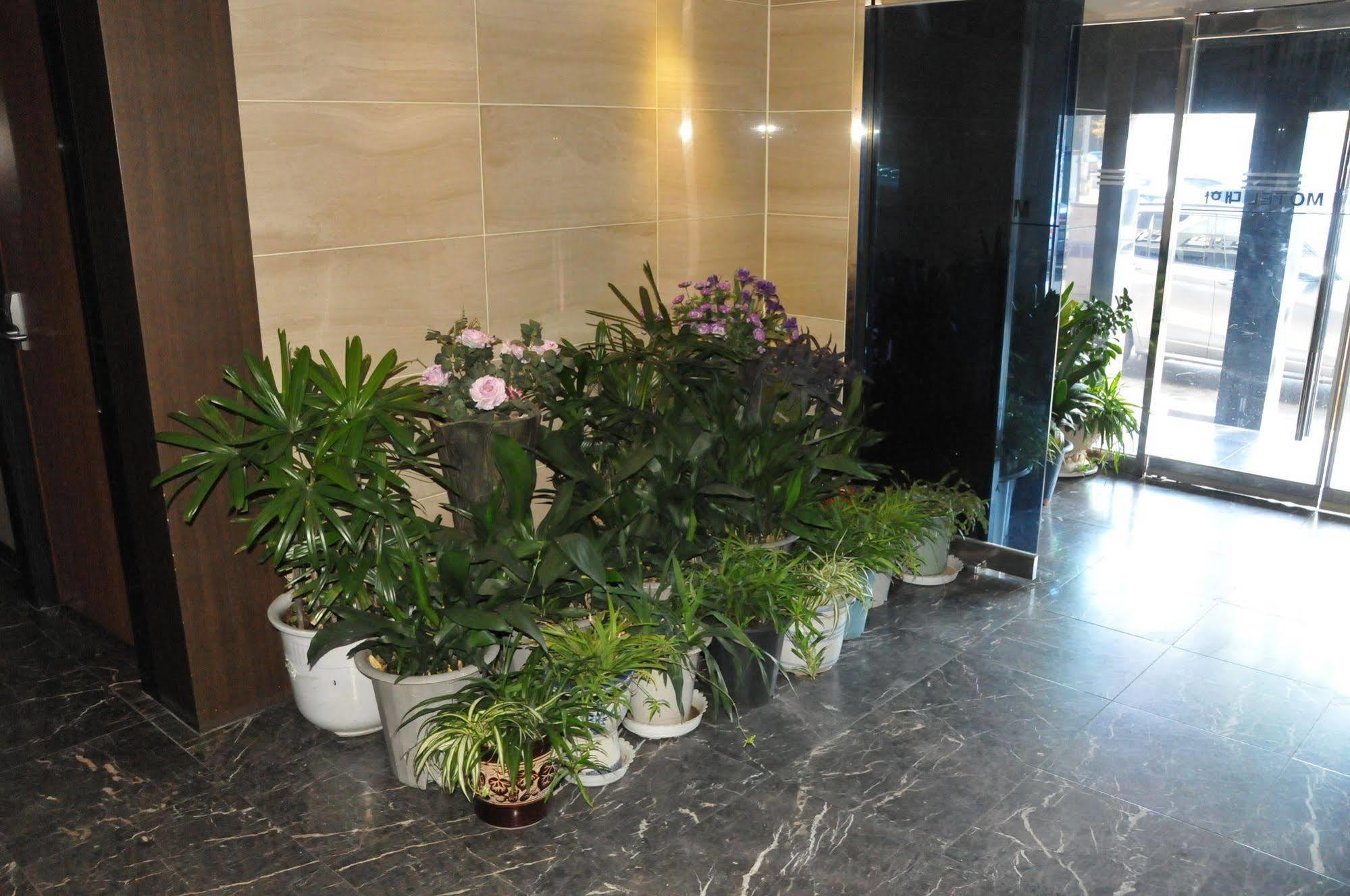 Motel Daeha โซล ภายนอก รูปภาพ